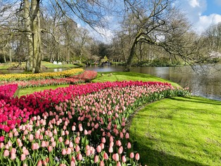 Farbenpracht-in-Keukenhof