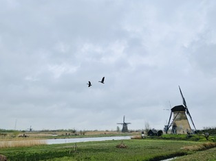 Kinderdijk