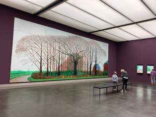 bild_CB_03Hockney