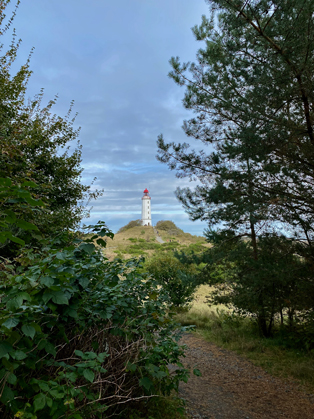 bild_CB_11Hiddensee