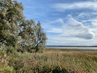 bild_CB_12Hiddensee