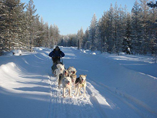 bild_cb_lappland_6