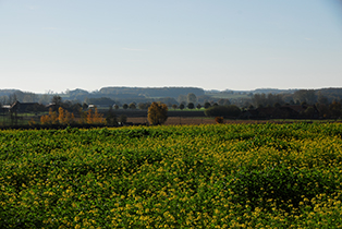 bild_cb_ostfriesland_2