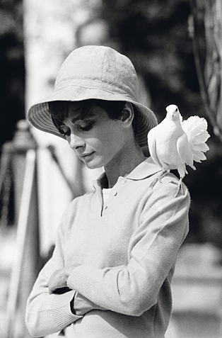 film_hepburn_taube