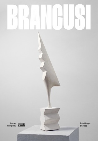 Buchcover-Brancusi